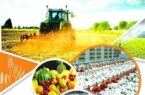 ورود شرکت‌های دانش‌بنیان برای جلوگیری از خام‌فروشی محصولات کشاورزی اردبیل