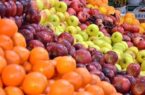 ۱۴۰۰ تن میوه شب عید در اردبیل توزیع می شود