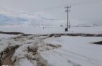 خاموشی های اخیر در روستاهای گیرافتاده در برف اردبیل رفع شد