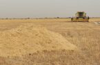 بکارگیری تمهیدات لازم برای خرید گندم از کشاورزان استان اردبیل