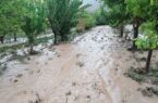خسارت ۵۰ میلیارد تومانی سیل به راه های روستایی اردبیل