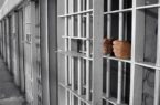 مرخصی معتادان زندانی با هدف کاهش سرقت لغو شود