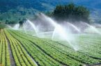 آب فدای غذا! | ۳ سال فرصت برای کاهش ۳۲ درصدی مصرف آب در بخش کشاورزی