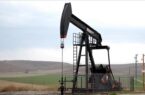 احتمال افزایش قیمت نفت به بالای ۱۰۰ دلار تا پایان ماه جاری میلادی