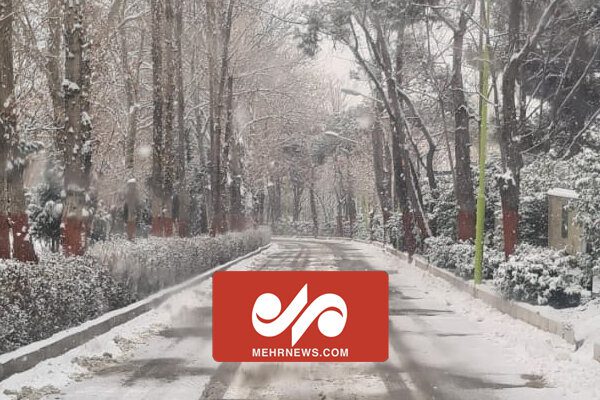 تصاویری از بارش برف در تهران