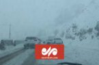 تصاویری از بارش سنگین برف در جاده هراز منطقه پلور