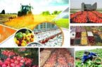 پیاده‌سازی نظام نوآوری در بخش کشاورزی