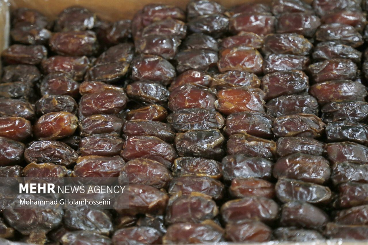 بیش از ۵تن خرما در ماه رمضان در کرمانشاه توزیع شده است