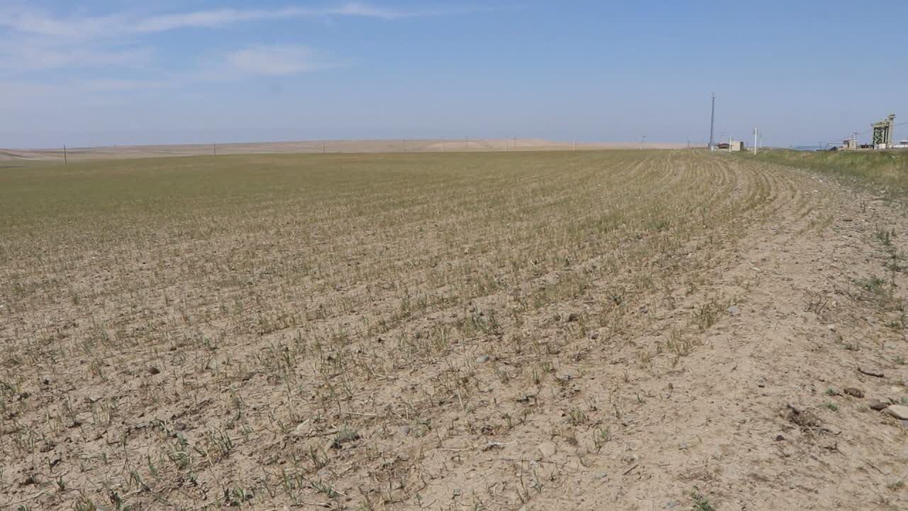 مغان تشنه آسمان بخیل/خشکسالی شدید در ۵۸ درصد مساحت اردبیل