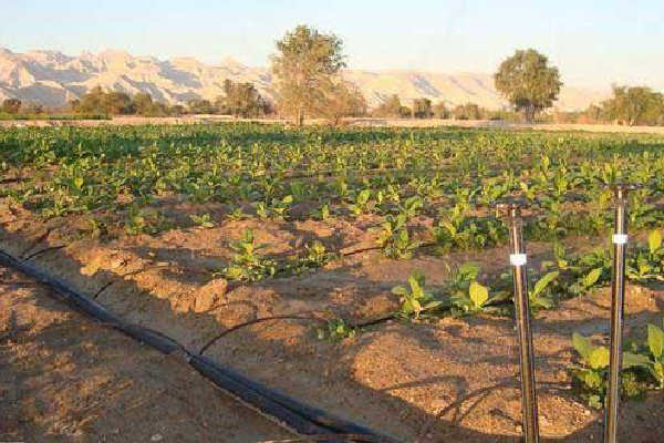 تجهیز ۲۸ درصد اراضی کشاورزی اردبیل به آبیاری مدرن
