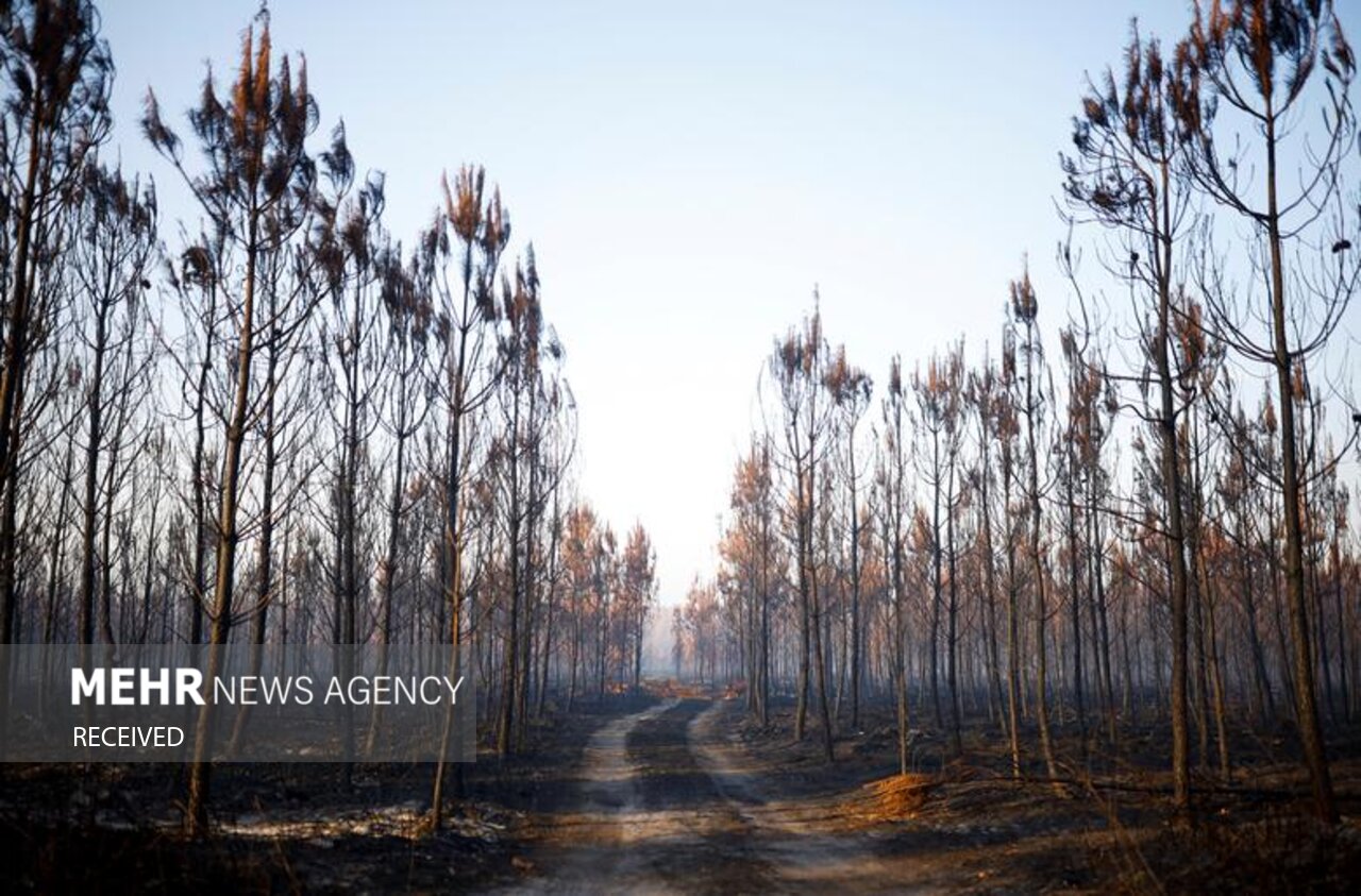 احتمال رخداد آتش‌سوزی در جنگل‌های اردبیل
