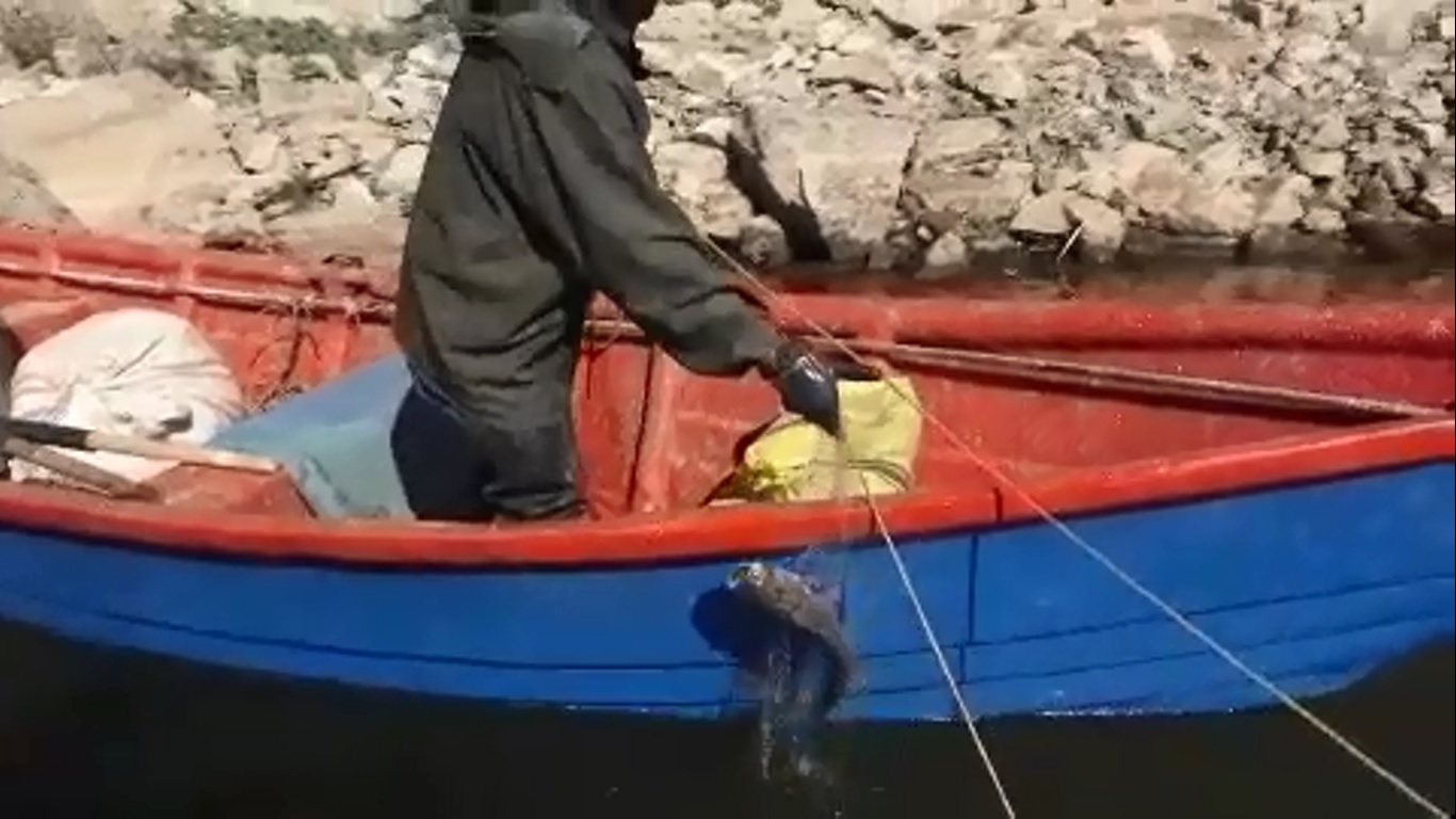 صید ماهی در دریاچه گیلارلوی گرمی