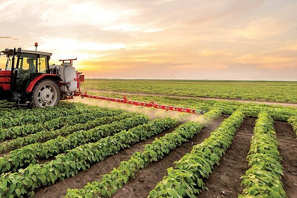 افزایش یک میلیون تن محصولات کشاورزی با بهره‌برداری از پایاب سدها