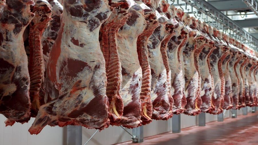 قیمت منطقی هر کیلو گوشت گرم ۴۲۰ تا ۴۵۰ هزارتومان است| واردات ۳۰۰ هزار راس دام سبک